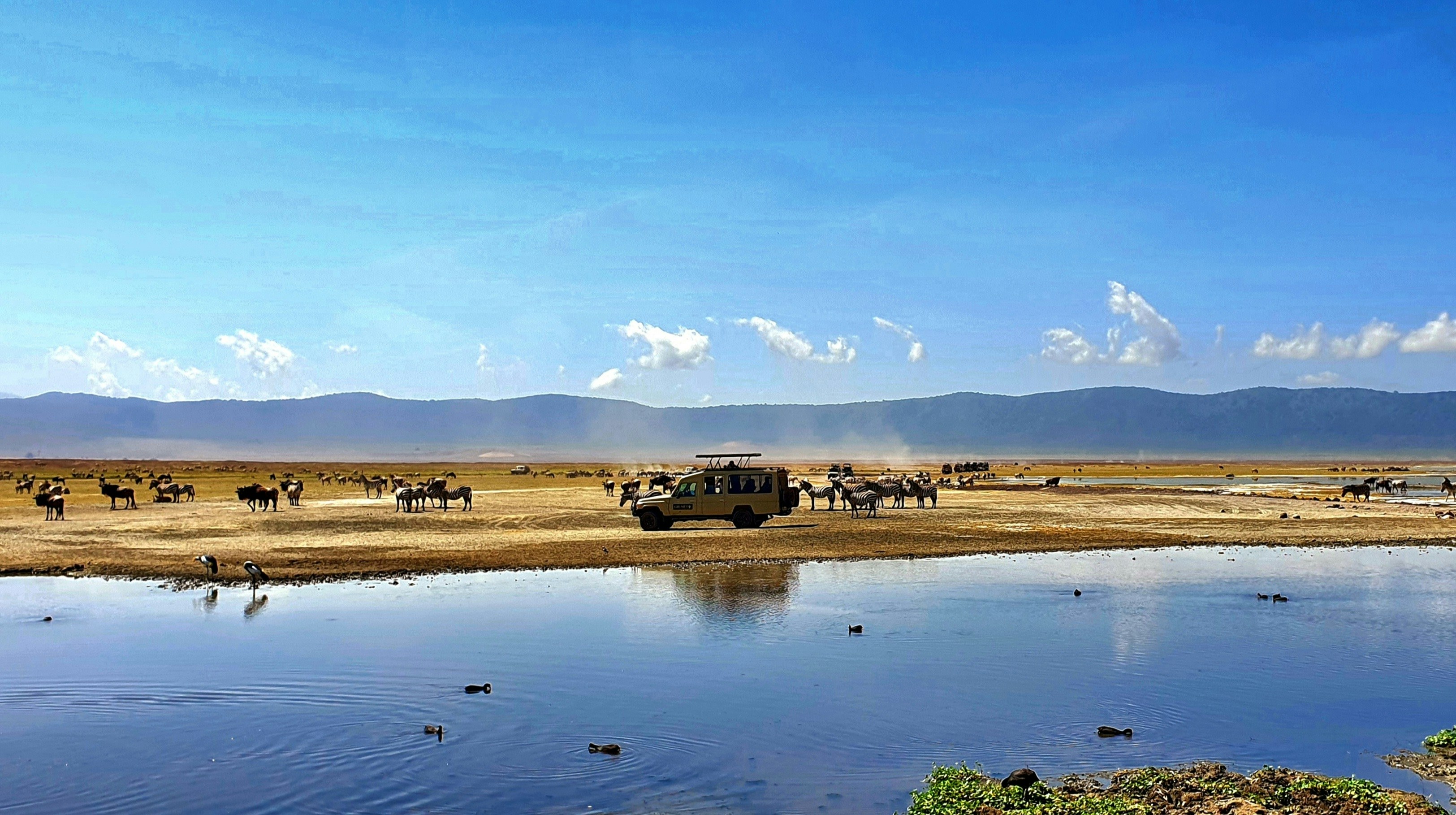 Ngorongoro
